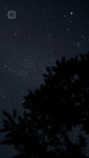 พิทักษ์หัวใจในวังวนลวง