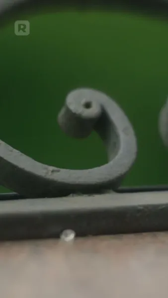 พิทักษ์หัวใจในวังวนลวง