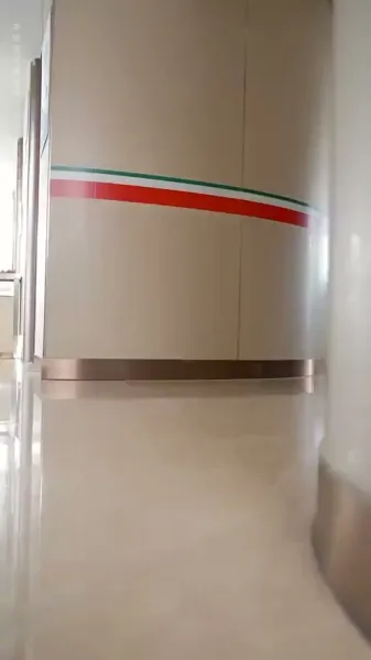 ปีนั้นดวงอาทิตย์ส่องแสง