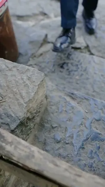 ลูกเป็ดขี้เหร่! ตัวประกอบไร้ชื่อ! แต่เหล่าบอสกลับแย่งกันพาเธอกลับบ้าน!