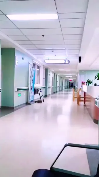 ลูกเป็ดขี้เหร่! ตัวประกอบไร้ชื่อ! แต่เหล่าบอสกลับแย่งกันพาเธอกลับบ้าน!