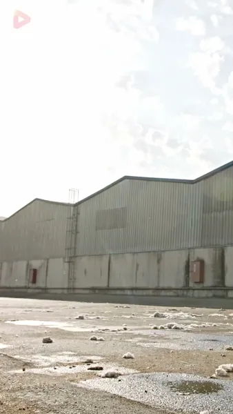 ความรักความฝันและคำโกหก