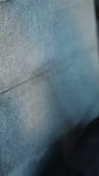 เมื่อบุปผาร่วงโรย