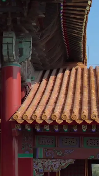 เมื่อบุปผาร่วงโรย