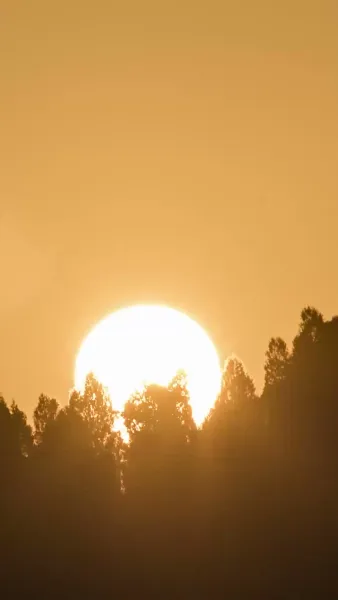 เกิดใหม่อีกครั้งล้างแค้นสามีชั่ว