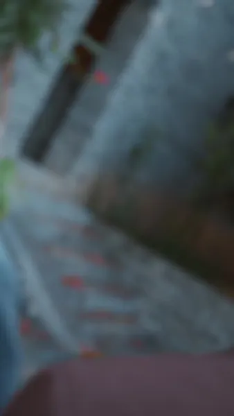 วิทยายุทธ์ของอาจารย์