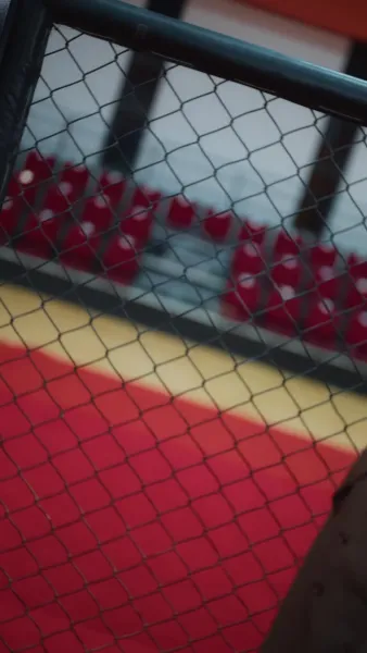 วิทยายุทธ์ของอาจารย์