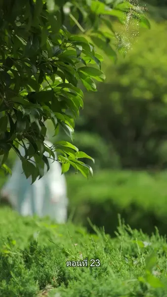 เล่ห์ร้ายในวังหลวง