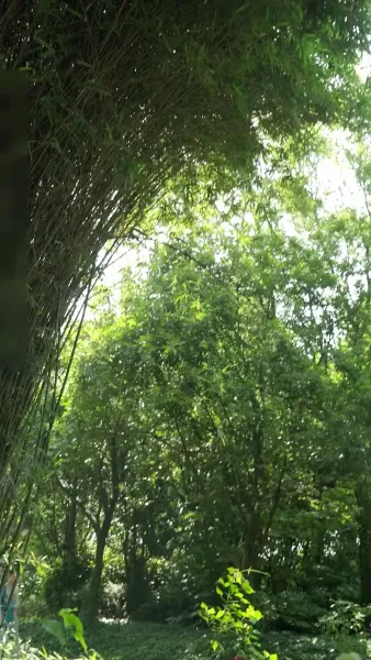 เล่ห์ร้ายในวังหลวง