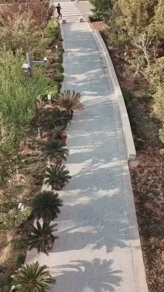 การกลับมาของคนขอทาน ที่เริ่มต้นจากการถูกสาวสวยจับตัวไป