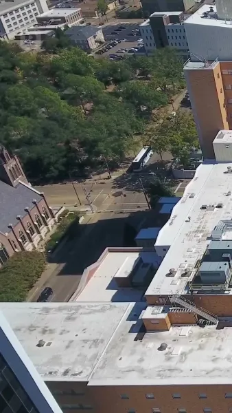 รักที่ก่อตัวในบ้านไร่