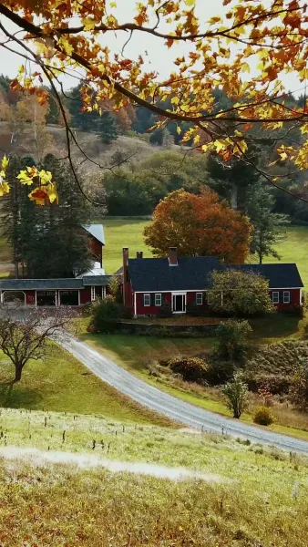 รักที่ก่อตัวในบ้านไร่