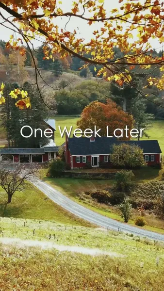 รักที่ก่อตัวในบ้านไร่