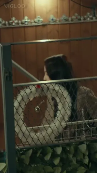 วิธีการ