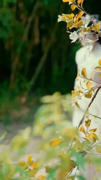 ลำนำรักสองภพ