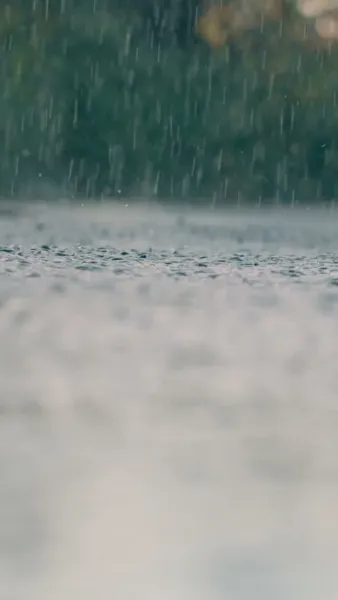 คนสุดท้ายที่เคียงข้าง