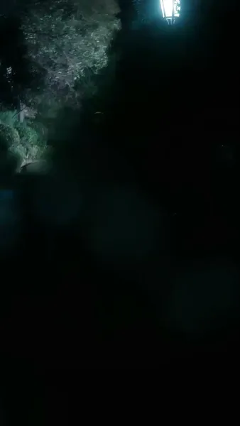 เกมพัฒนาตัวฉันในโลกคนรวย