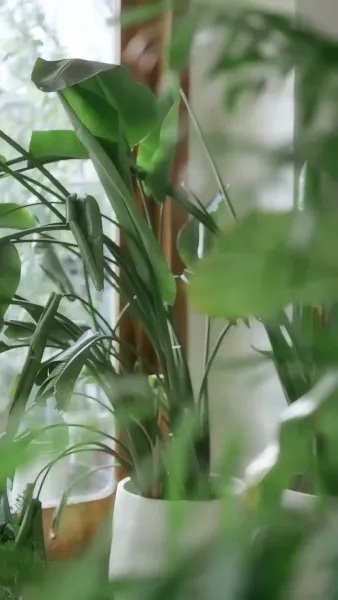 เกมพัฒนาตัวฉันในโลกคนรวย