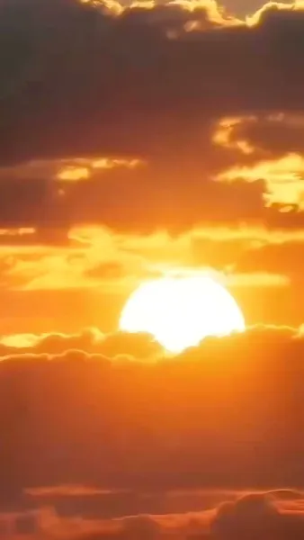 เกมพัฒนาตัวฉันในโลกคนรวย