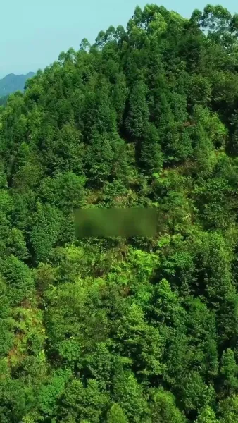 รอยรักพิษแค้น