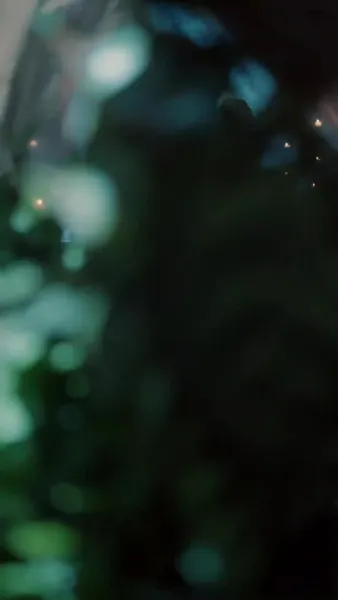 รักแรกในยามท้าย