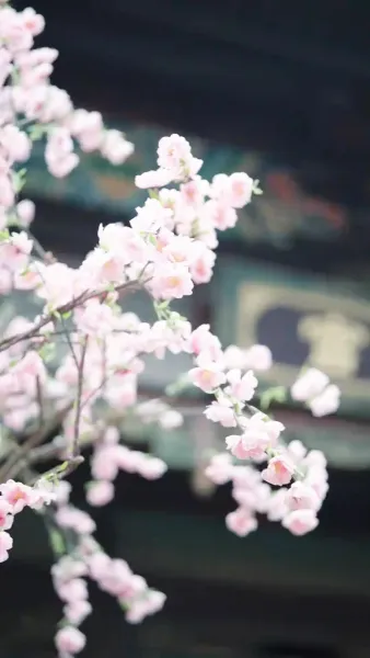 รักแรกในยามท้าย