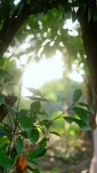 เดินเคียงข้างเธอ