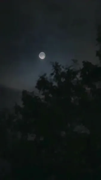 ได้ยินเสียงในใจยัยนางร้าย