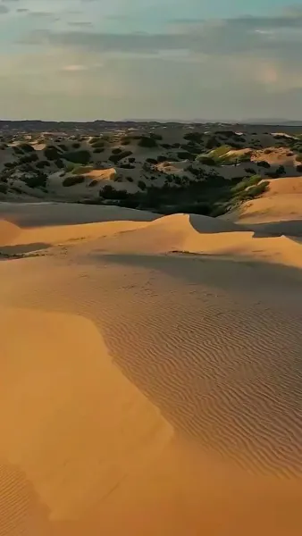 ชะตารักนิรันดร