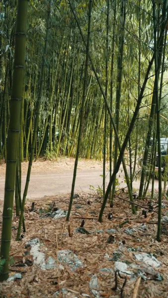 หนูน้อยดาวนำโชคมาแล้ว