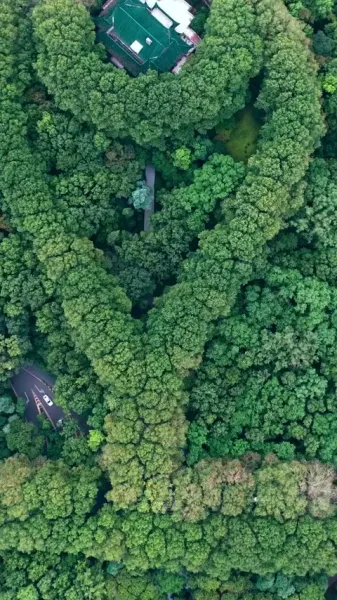 ด้านมืดของพระอาทิตย์