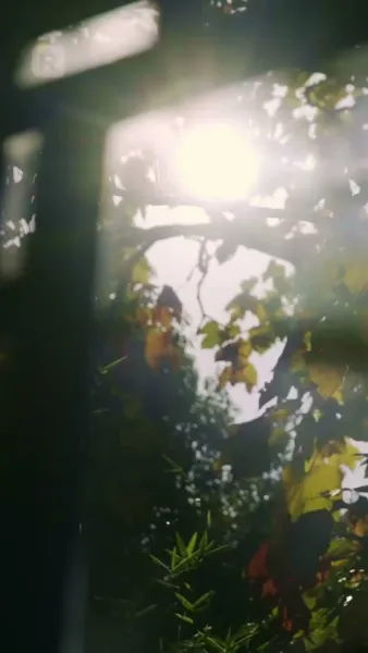 สูตรแกล้งแต่งงาน