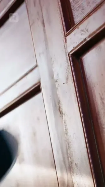 (พากย์)เกิดใหม่ในคืนวิวาห์สามี เธอพลิกเกมเอาคืน