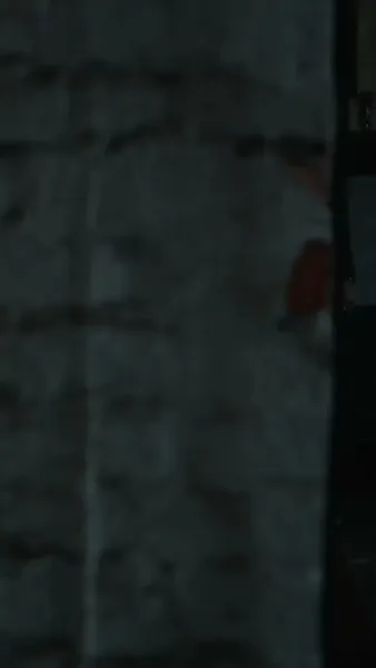 ฟ้าลิขิตให้ ใจลิขิตเอง