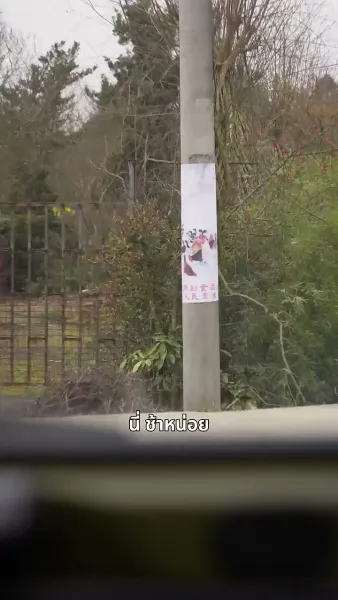 ฟ้าลิขิตให้ ใจลิขิตเอง