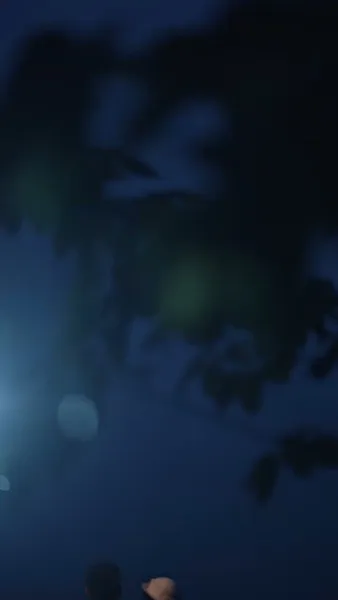 [พากย์เสียง] ความฝันเบาบางทับดอกไห่ถาง