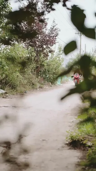 คุณหนูคราบมาเฟีย