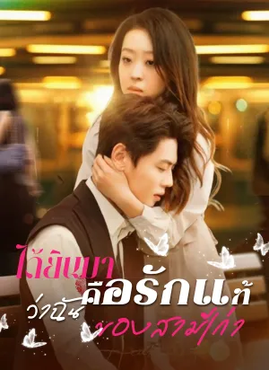 ได้ยินมาว่าฉันคือรักแท้ของสามีเก่า