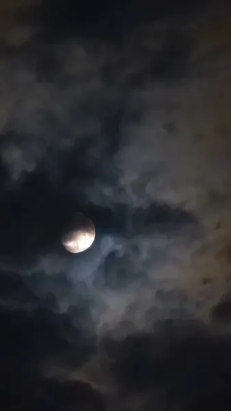 รักแท้ที่สายเกินไป