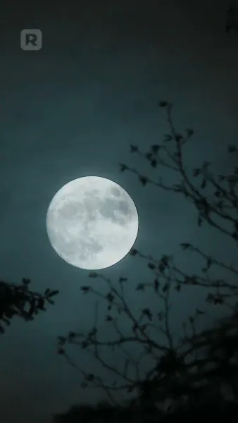 แม่จ๋า หนูหาคู่ให้