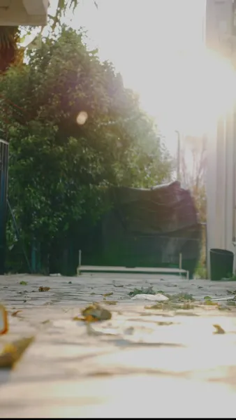 แม่จ๋า หนูหาคู่ให้