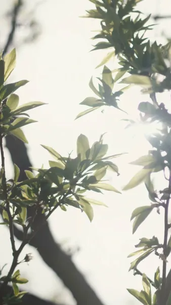 (พากย์) ปราบพวกอันธพาลของฉัน