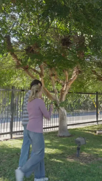 (พากย์) ปราบพวกอันธพาลของฉัน