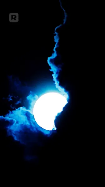 (พากย์) ปราบพวกอันธพาลของฉัน