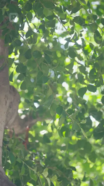 (พากย์) ปราบพวกอันธพาลของฉัน