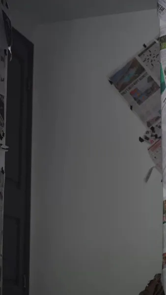 กระสุนส่งรัก[พากย์เสียง]