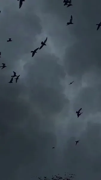 [พากย์เสียง] ศึกแพทย์หญิงนิติเวชอันดับหนึ่ง