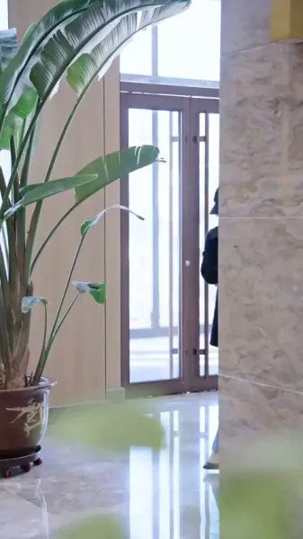 การขึ้นสู่อำนาจของดาราหญิงพันล้าน