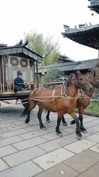 จอหงวนหวนคืนบ้านเกิด