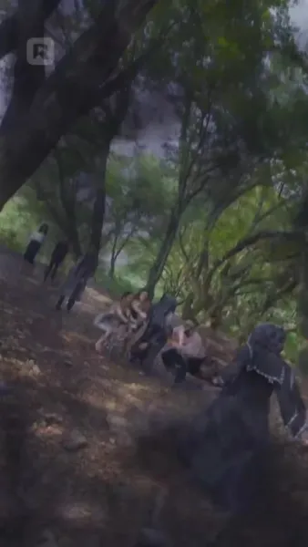 ปีศาจแมวของนายท่าน